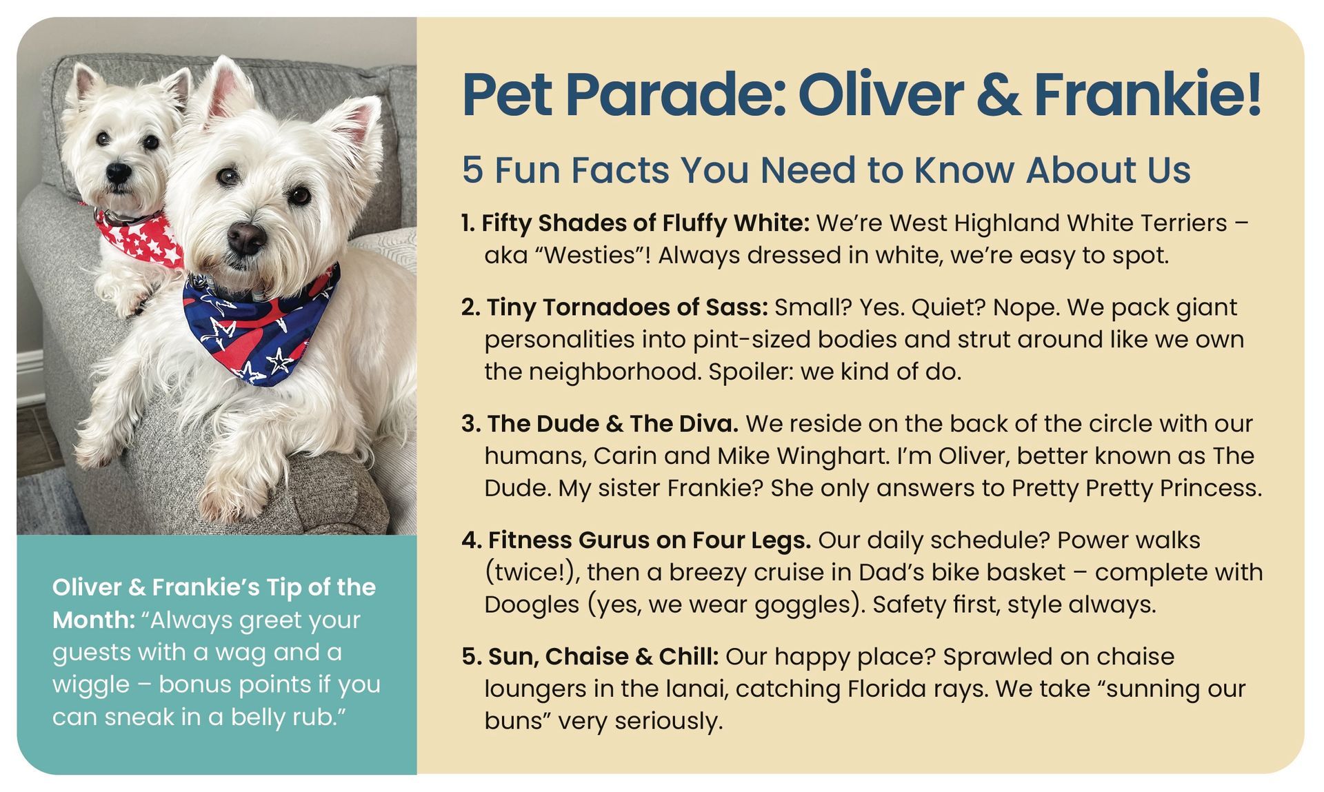 Two white dogs with bandanas, and text: