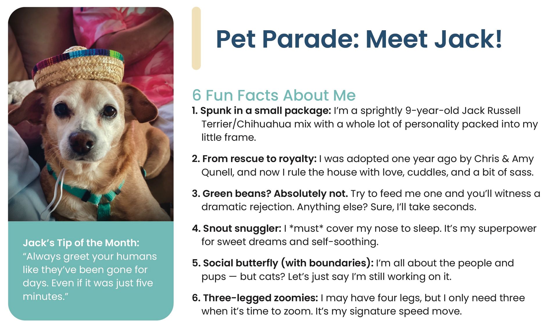 A light-brown dog wearing a small hat. Text says