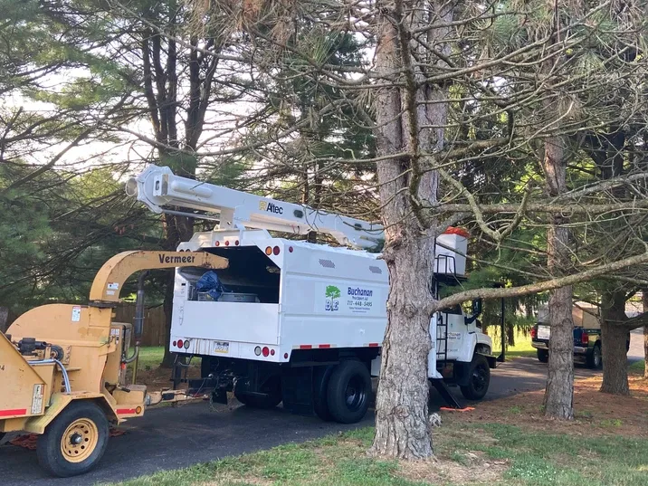 Truck and Machine for Tree Removal — Northampton, PA — Buchanan Tree Expert LLC