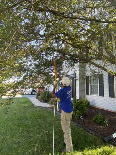 A Man Trimming the Branch — Northampton, PA — Buchanan Tree Expert LLC