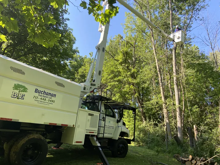 Huge Truck — Northampton, PA — Buchanan Tree Expert LLC