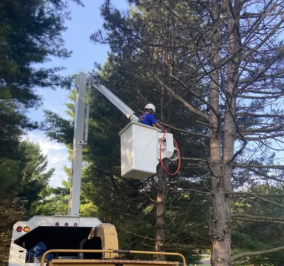 Huge Truck for Tree Removal — Northampton, PA — Buchanan Tree Expert LLC