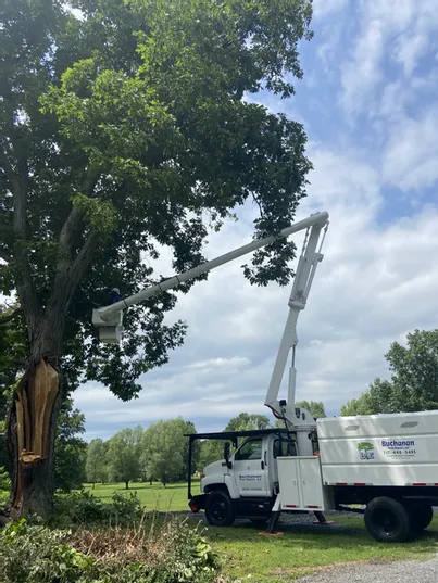 Bucket Truck — Northampton, PA — Buchanan Tree Expert LLC