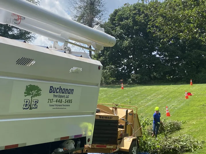 Truck and a Machine at the Site — Northampton, PA — Buchanan Tree Expert LLC