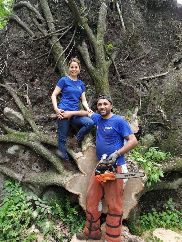 Man Holding Chainsaw — Northampton, PA — Buchanan Tree Expert LLC