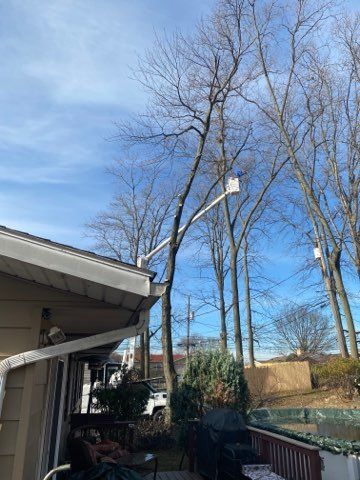 Bucket Truck for Tree Pruning — Northampton, PA — Buchanan Tree Expert LLC