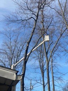Bucket Truck Used by the Professionals — Northampton, PA — Buchanan Tree Expert LLC