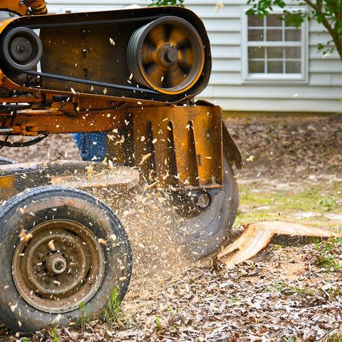 A Machine Removing Tree Stump — Northampton, PA — Buchanan Tree Expert LLC