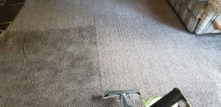 Carpet cleaning in progress.
