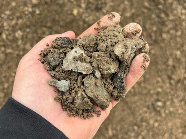 a person is holding a pile of dirt and rocks in their hand .