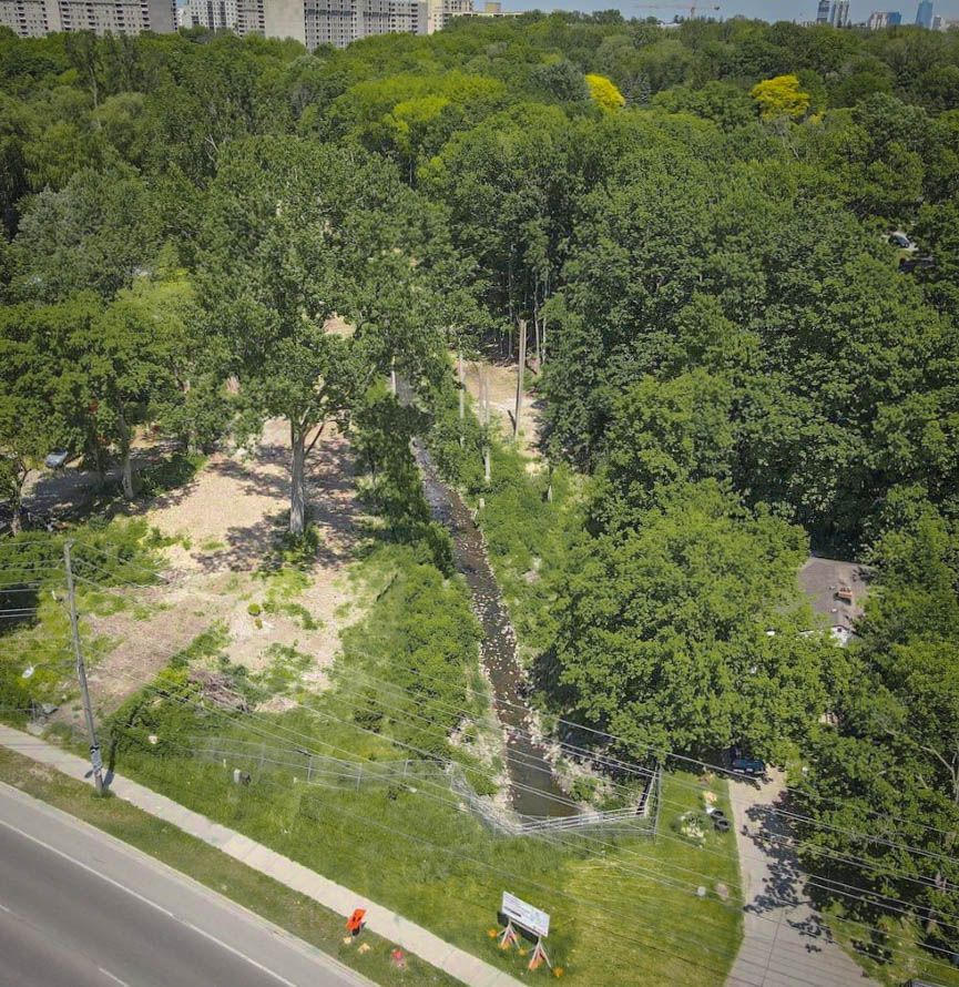an aerial view of a park filled with lots of trees and grass .