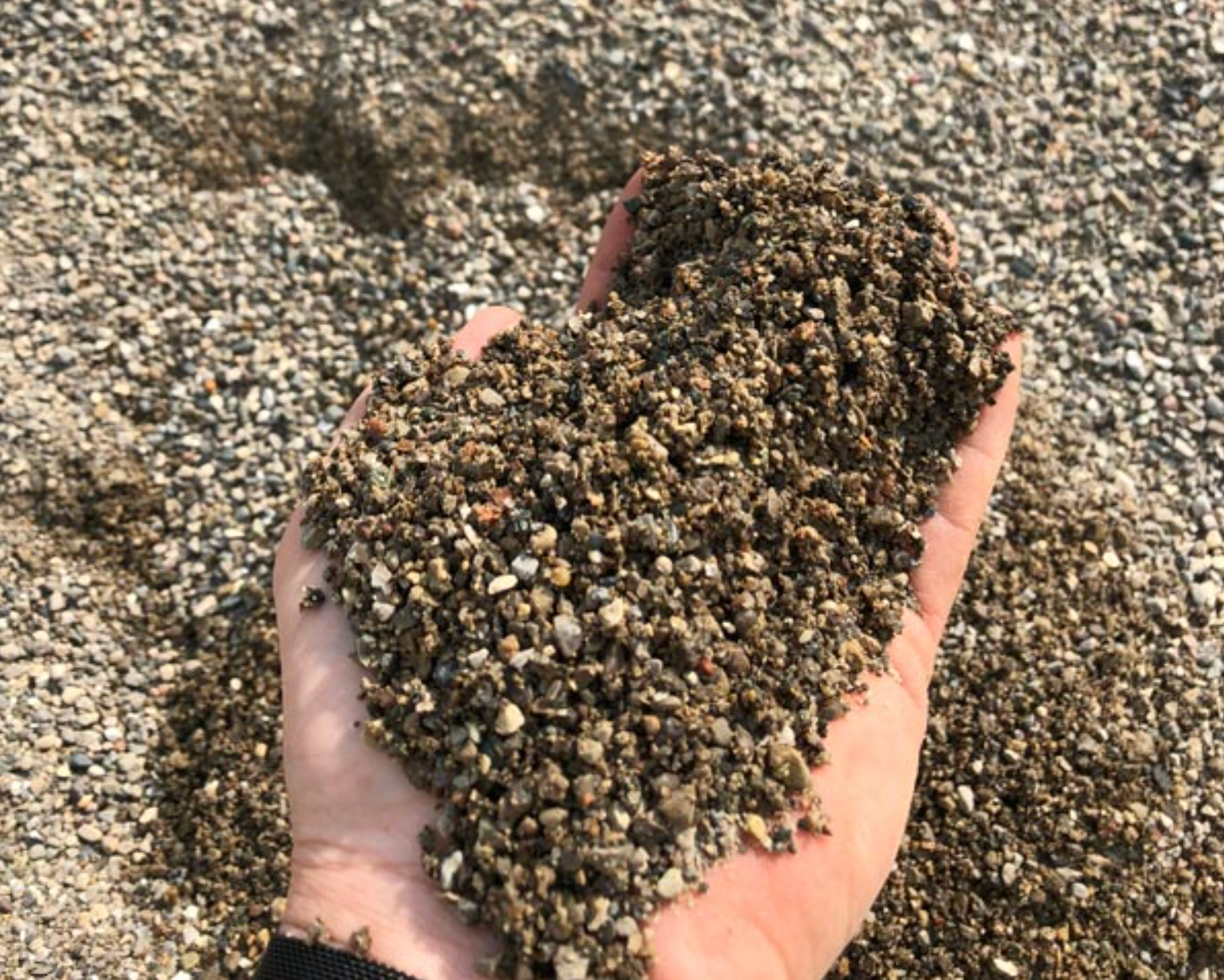 a person is holding a pile of gravel in their hand .