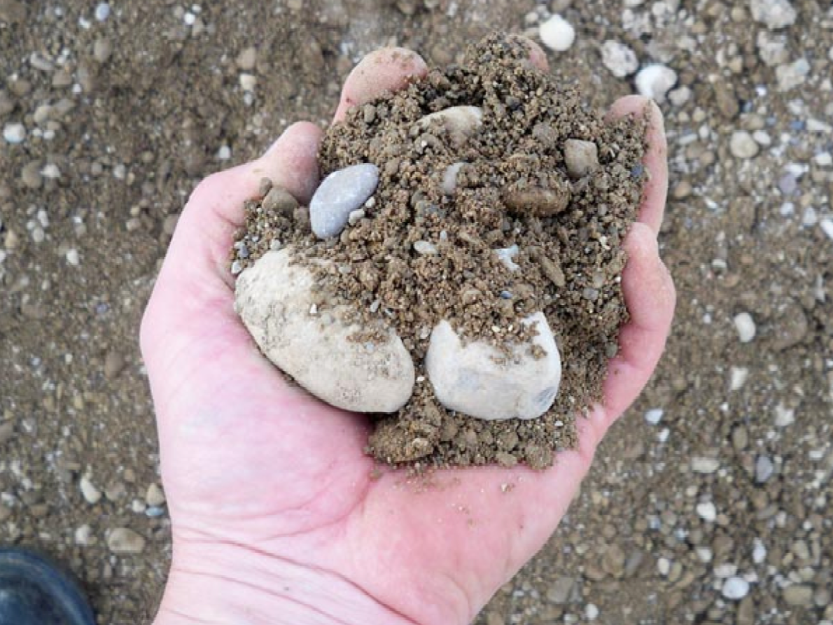 a person is holding a pile of dirt and rocks in their hand .