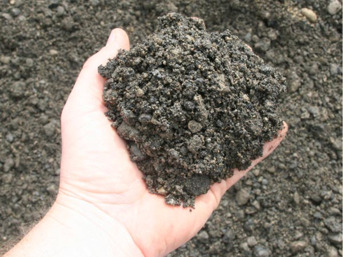a person is holding a pile of dirt in their hand