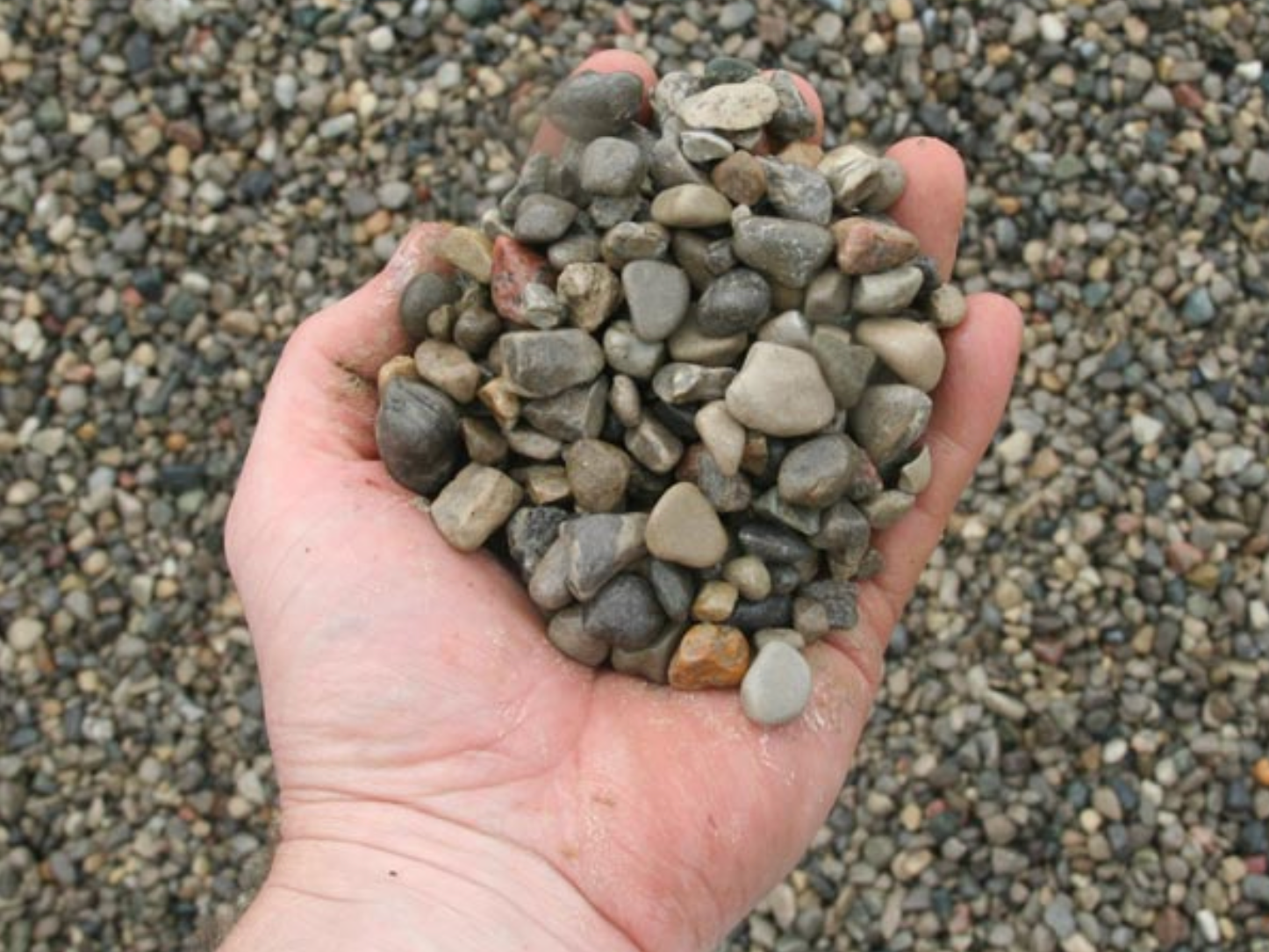 a person is holding a pile of rocks in their hand .