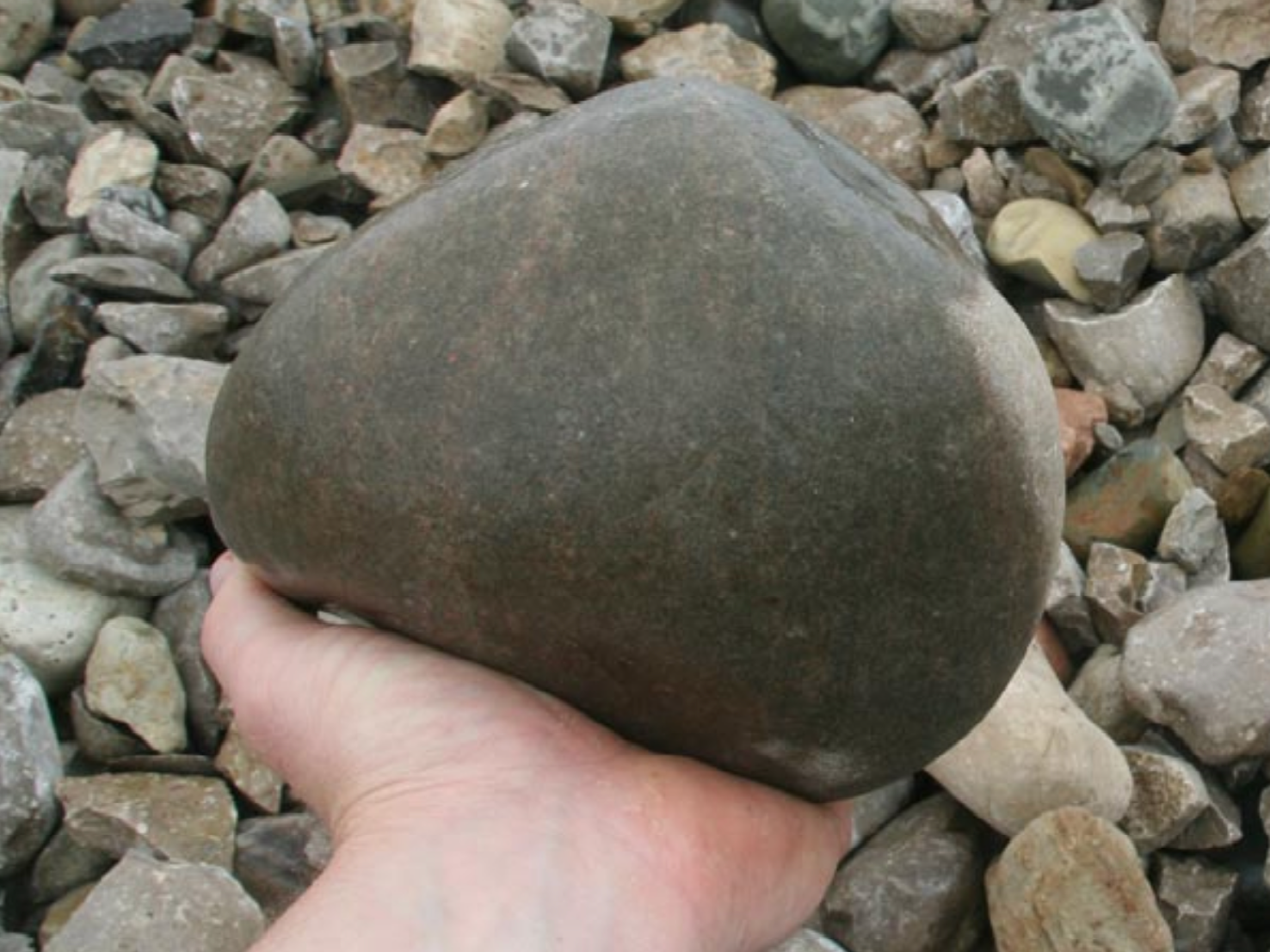 a person is holding a large rock in their hand