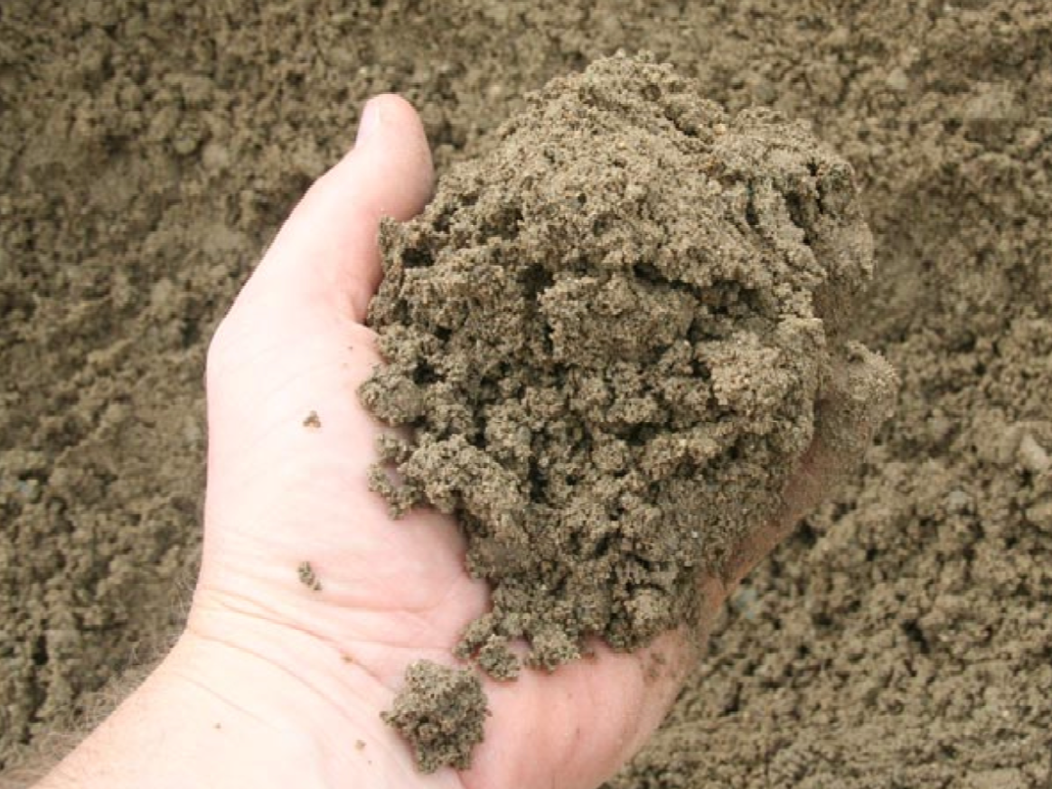 a person is holding a pile of dirt in their hand .