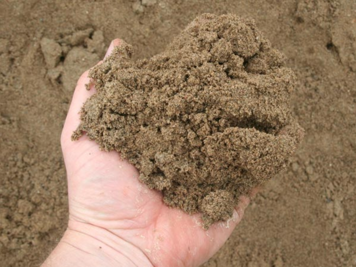 a person is holding a pile of sand in their hand .