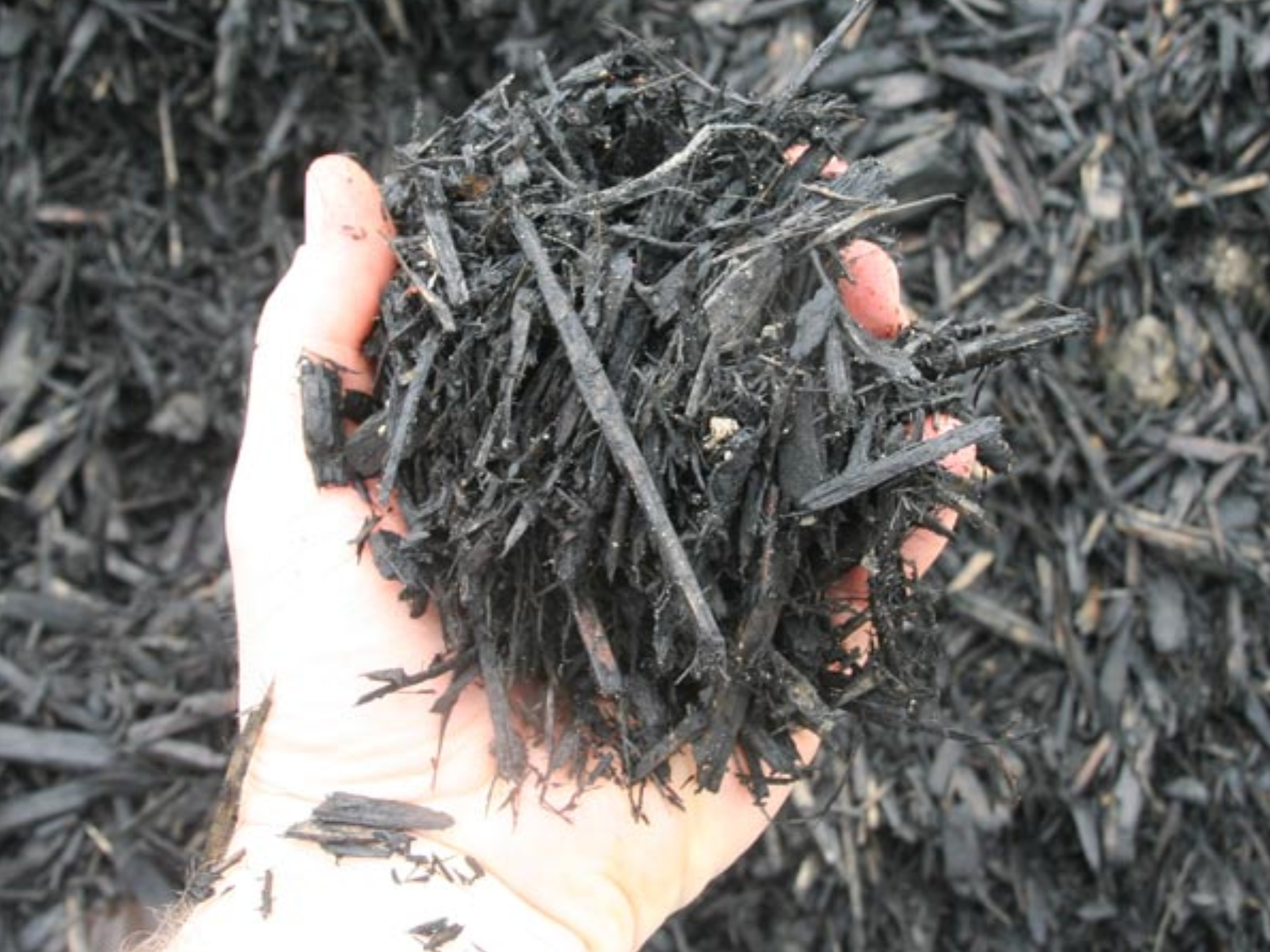 a person is holding a pile of black mulch in their hand