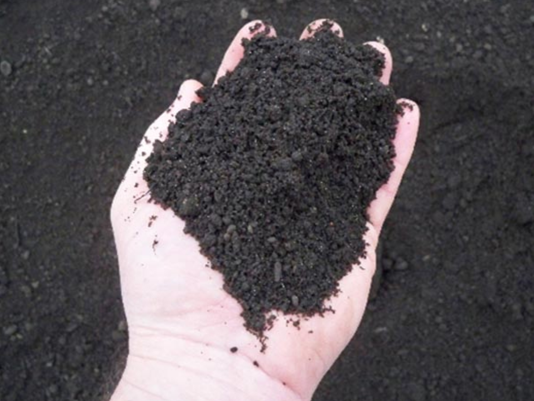 a person is holding a pile of black dirt in their hand