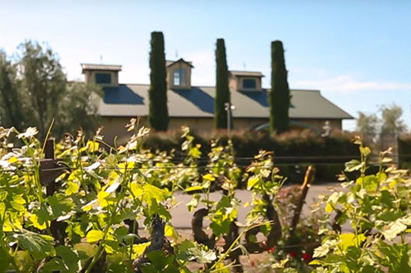 A vineyard with a building in the background and trees in the foreground