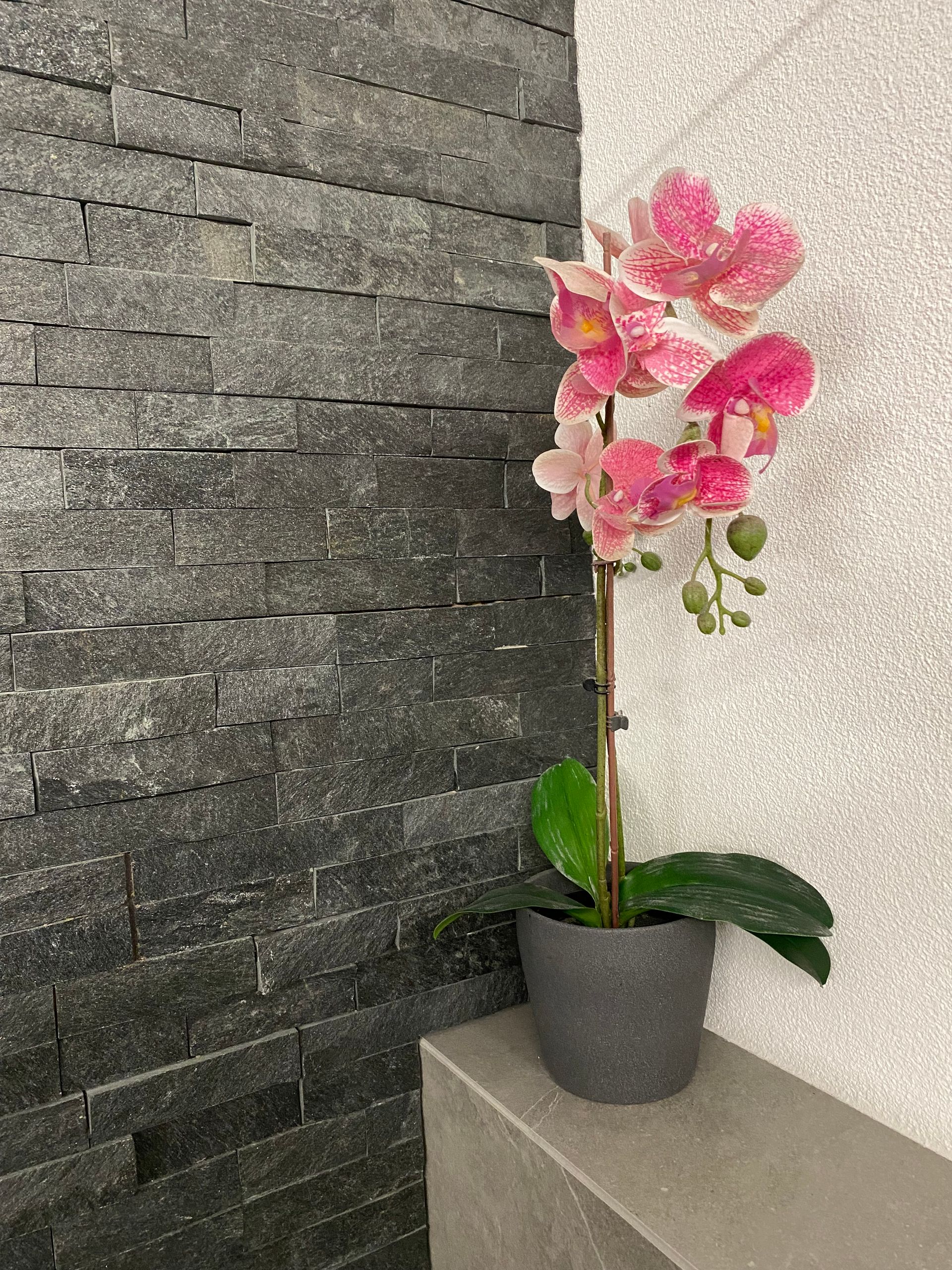 Ein stilvolles Badezimmer durch Natursteinverblender und harmonisch abgestimmte Keramikplatten.