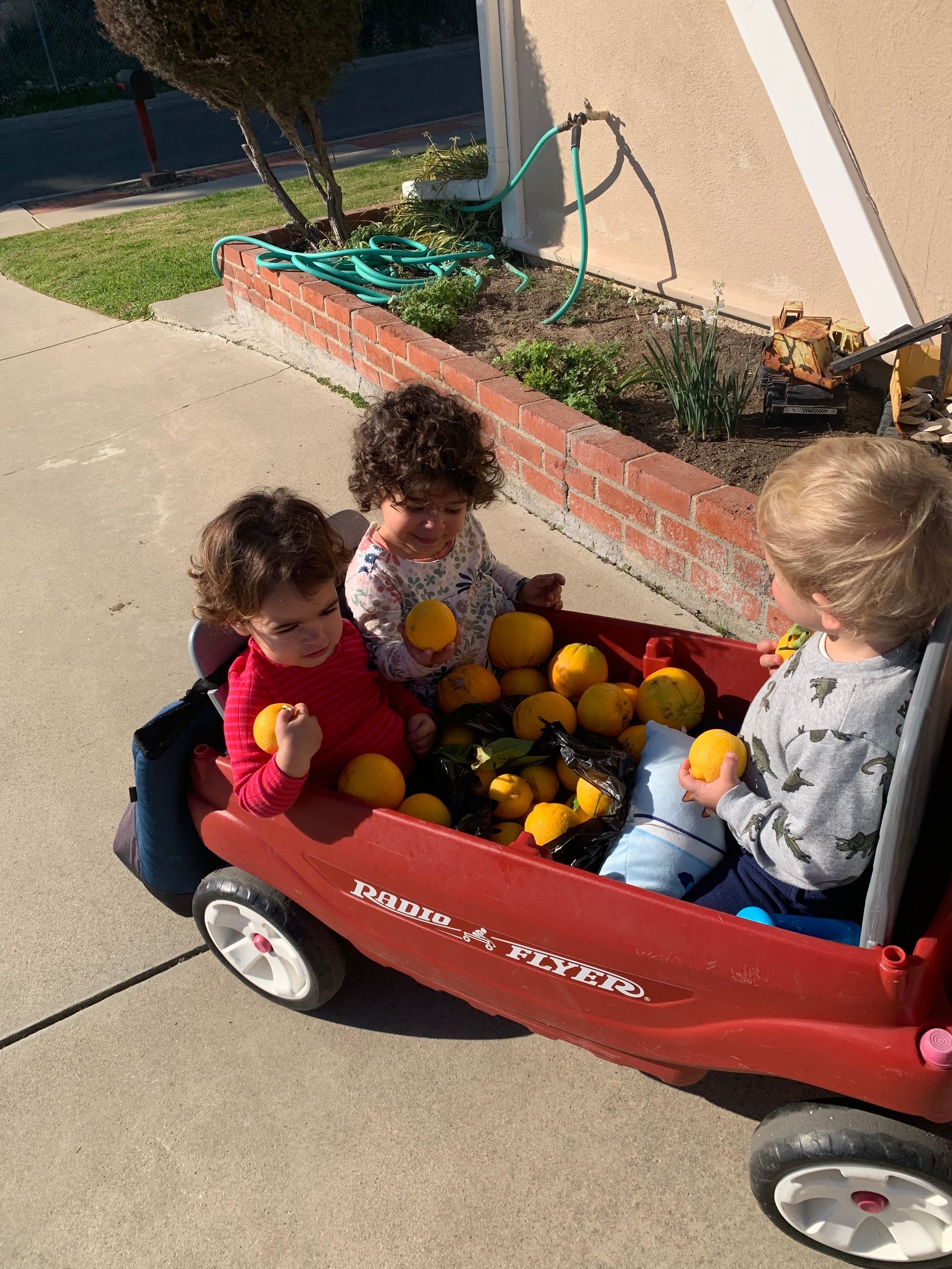Three children are sitting in a red wagon filled with oranges.