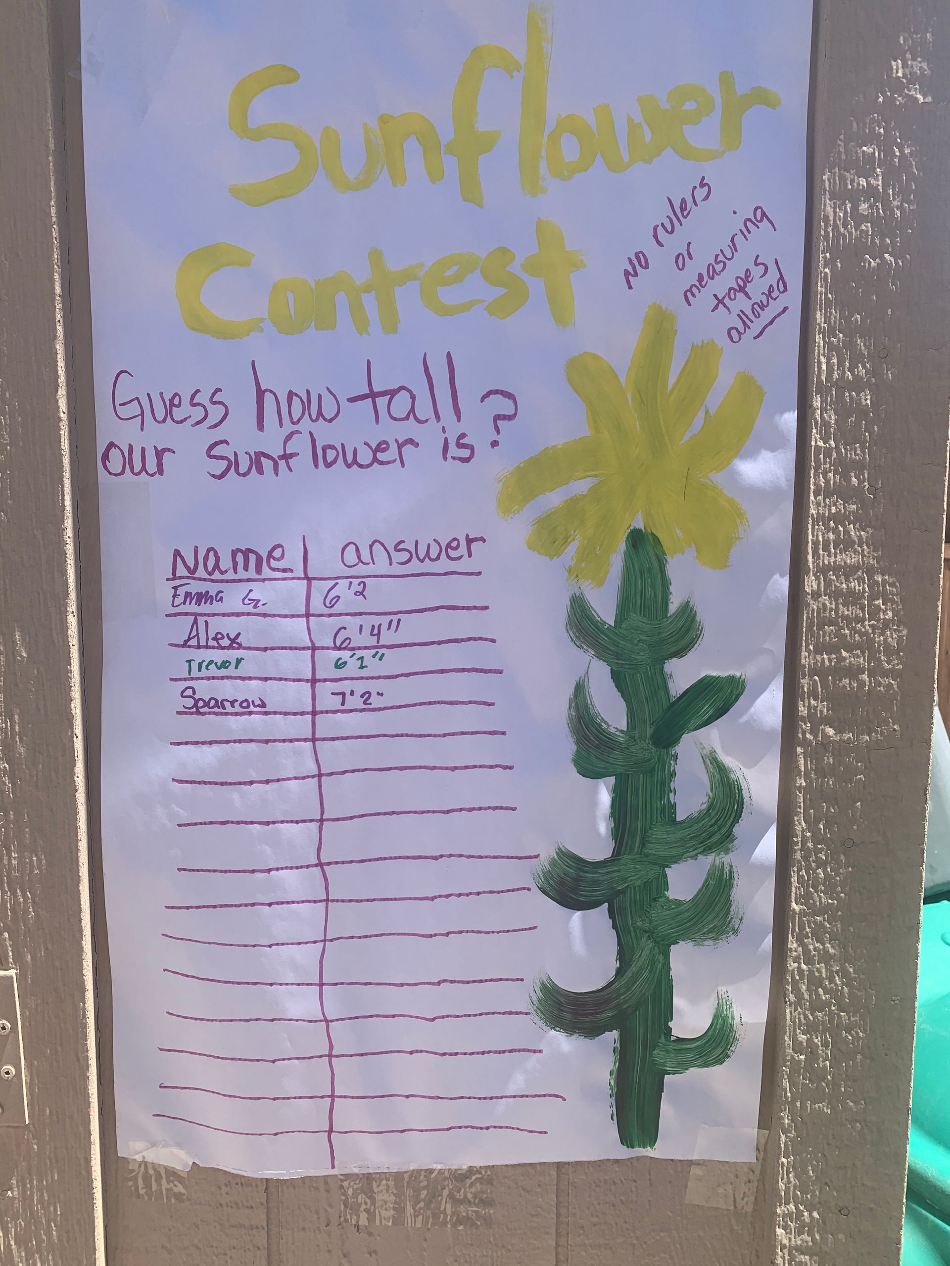 A poster for a sunflower contest with a drawing of a sunflower