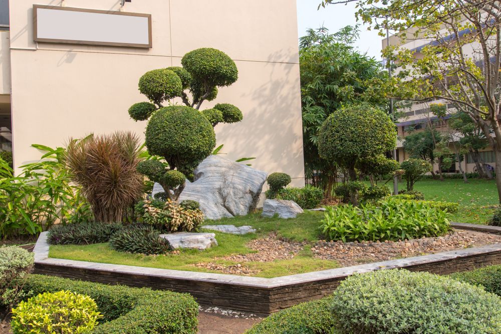 Landscaped Garden With Sculpted Bushes — Lads Lawns & Gardens in Bentley Park, QLD