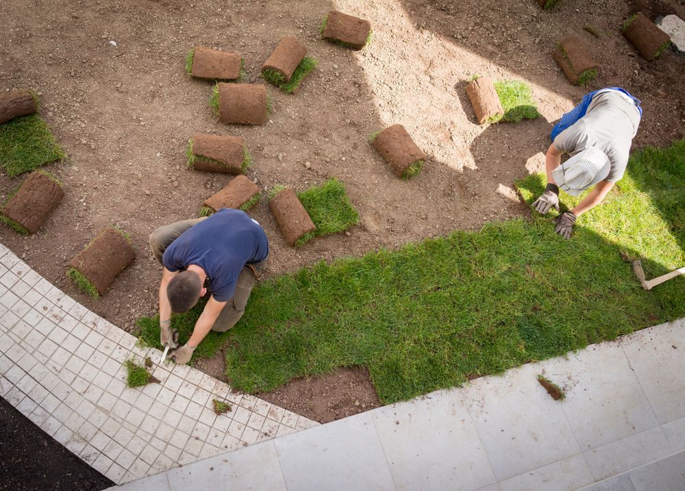 Two People Laying Sod Rolls on Dirt Next to a Concrete Structure — Lads Lawns & Gardens in Bentley Park, QLD