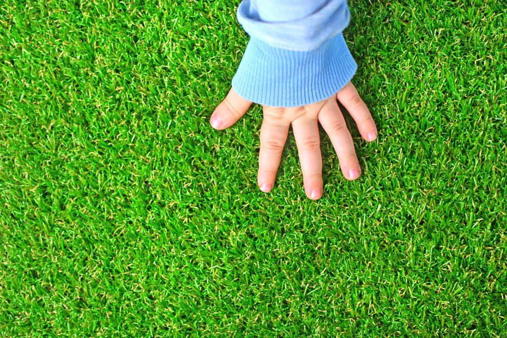 Hand With Blue Sleeve Touching Vibrant Green Grass — Lads Lawns & Gardens in Bentley Park, QLD