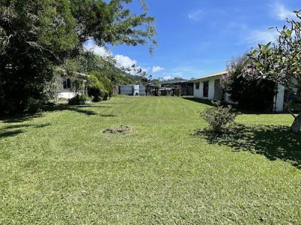 Lush Green Lawn with Trees and Buildings Under a Bright Blue Sky — Lads Lawns & Gardens in Bentley Park, QLD