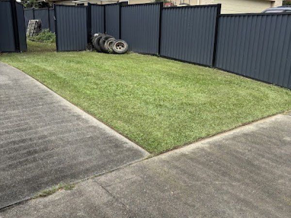 Green Lawn Enclosed by A Dark Fence and A Concrete Driveway — Lads Lawns & Gardens in Bentley Park, QLD