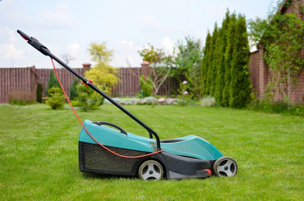Green and Black Lawnmower on A Green Lawn with A Fence and Trees — Lads Lawns & Gardens in Redlynch, QLD