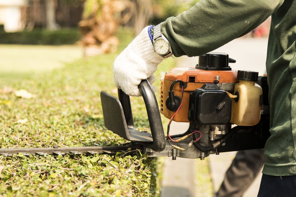 Person Trimming a Hedge With a Gas-powered Hedge Trimmer — Lads Lawns & Gardens in Bentley Park, QLD