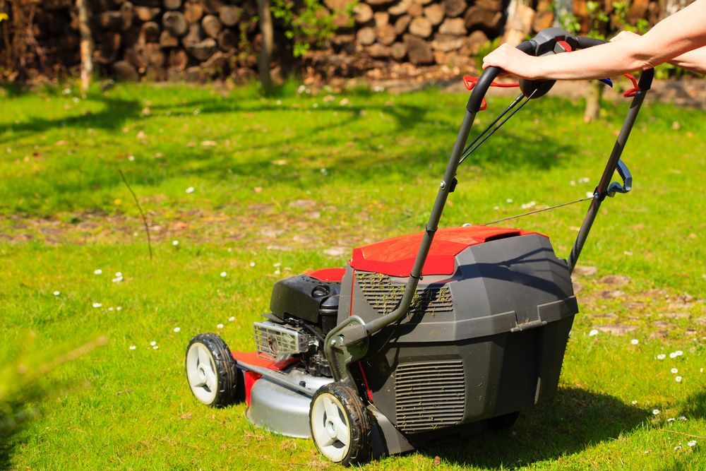 Person Mowing a Green Lawn with A Red and Black Lawnmower — Lads Lawns & Gardens in Port Douglas, QLD