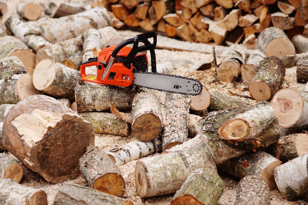 Orange Chainsaw Rests on A Pile of Chopped Birch Logs, Outdoors — Lads Lawns & Gardens in Bentley Park, QLD
