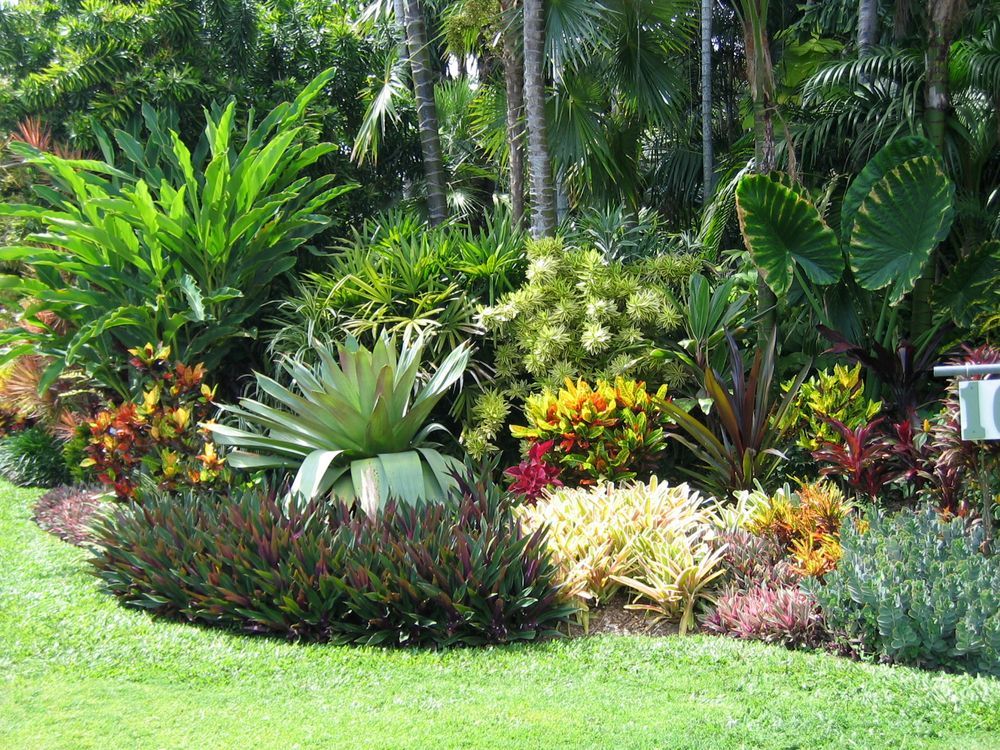 Tropical Garden Bed with Various Colourful Plants, Including Bromeliads and Crotons — Lads Lawns & Gardens in Gordonvale, QLD