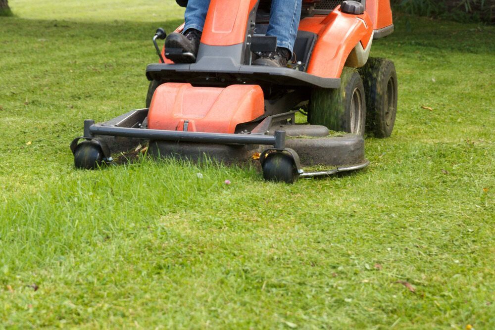 Orange Riding Lawnmower Mowing a Green Lawn — Lads Lawns & Gardens in Atherton Tablelands, QLD