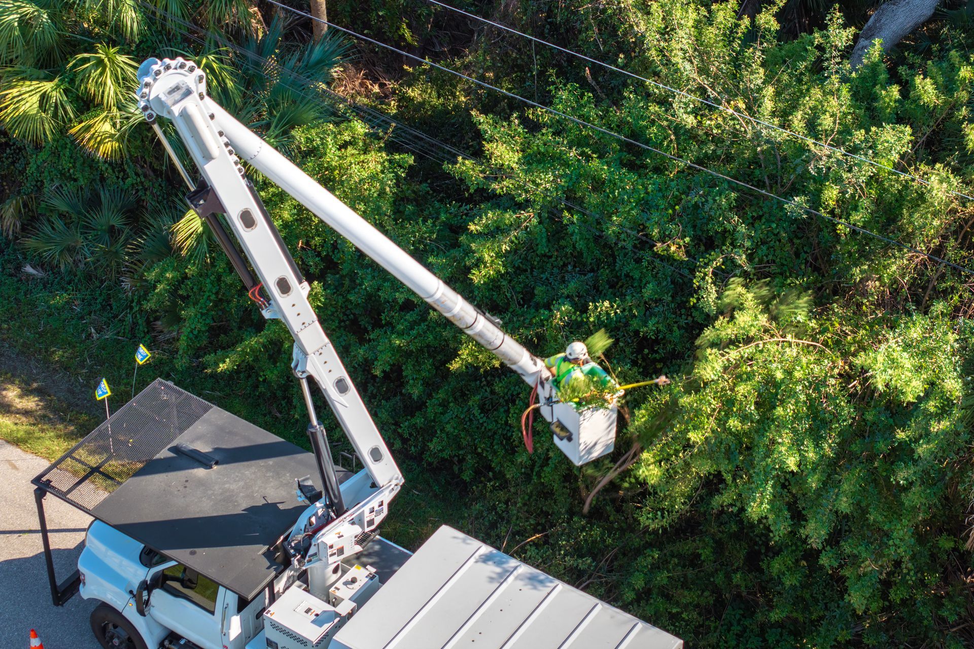 Utility worker in bucket truck trimming trees near overhead power lines.