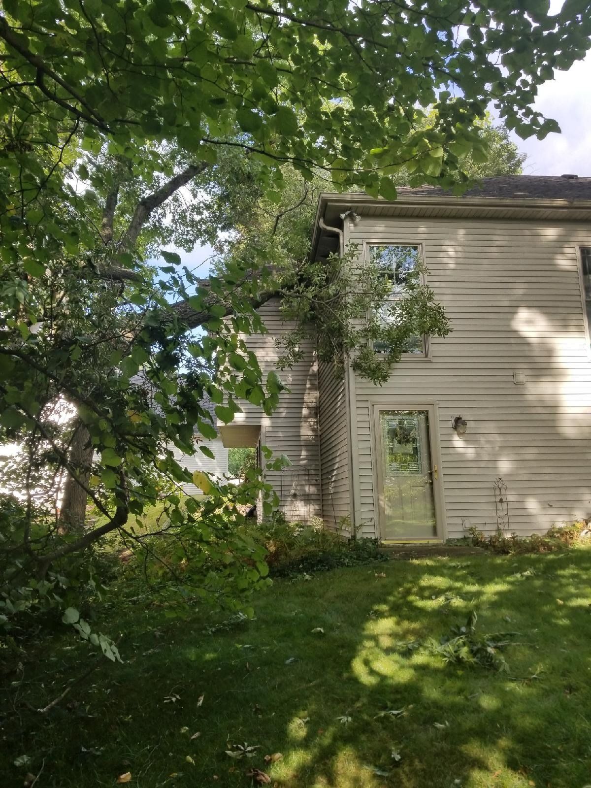Mishawaka Storm Damage Before Pic — Niles, MI — American Tree Care
