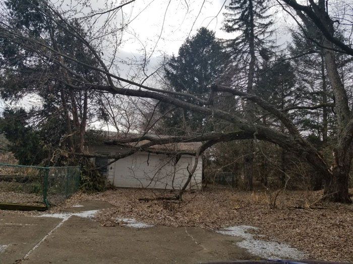Tree Fall Down — Niles, MI — American Tree Care