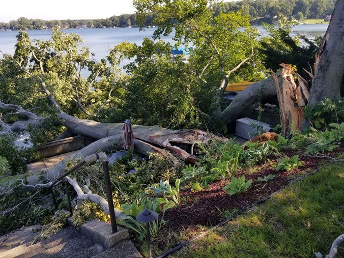 Storm Damage Before — Niles, MI — American Tree Care