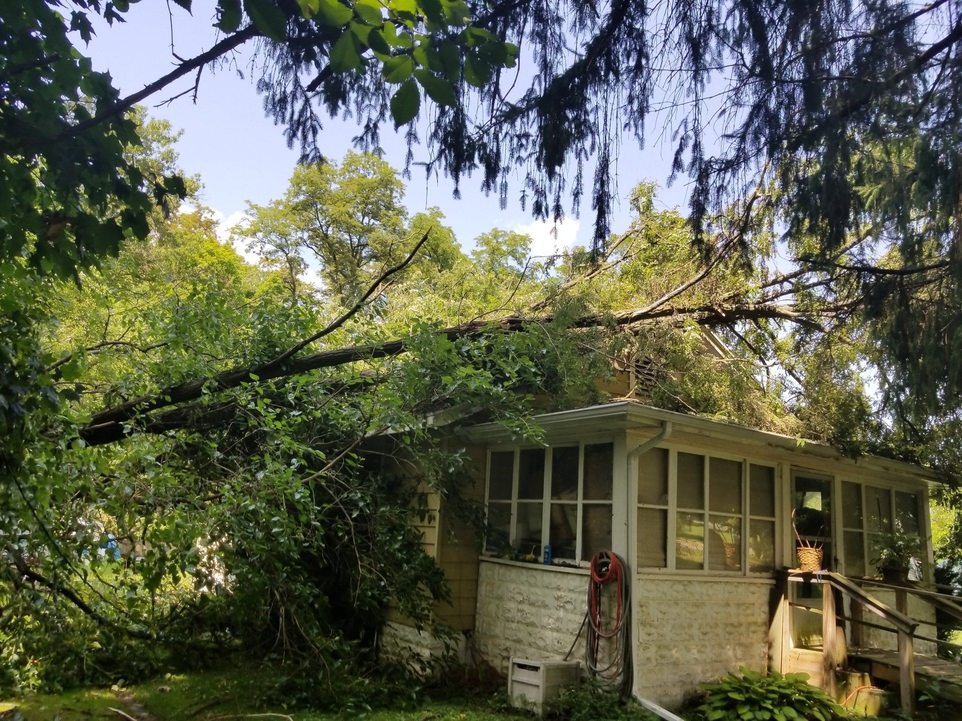 Storm Damage Before Pic — Niles, MI — American Tree Care