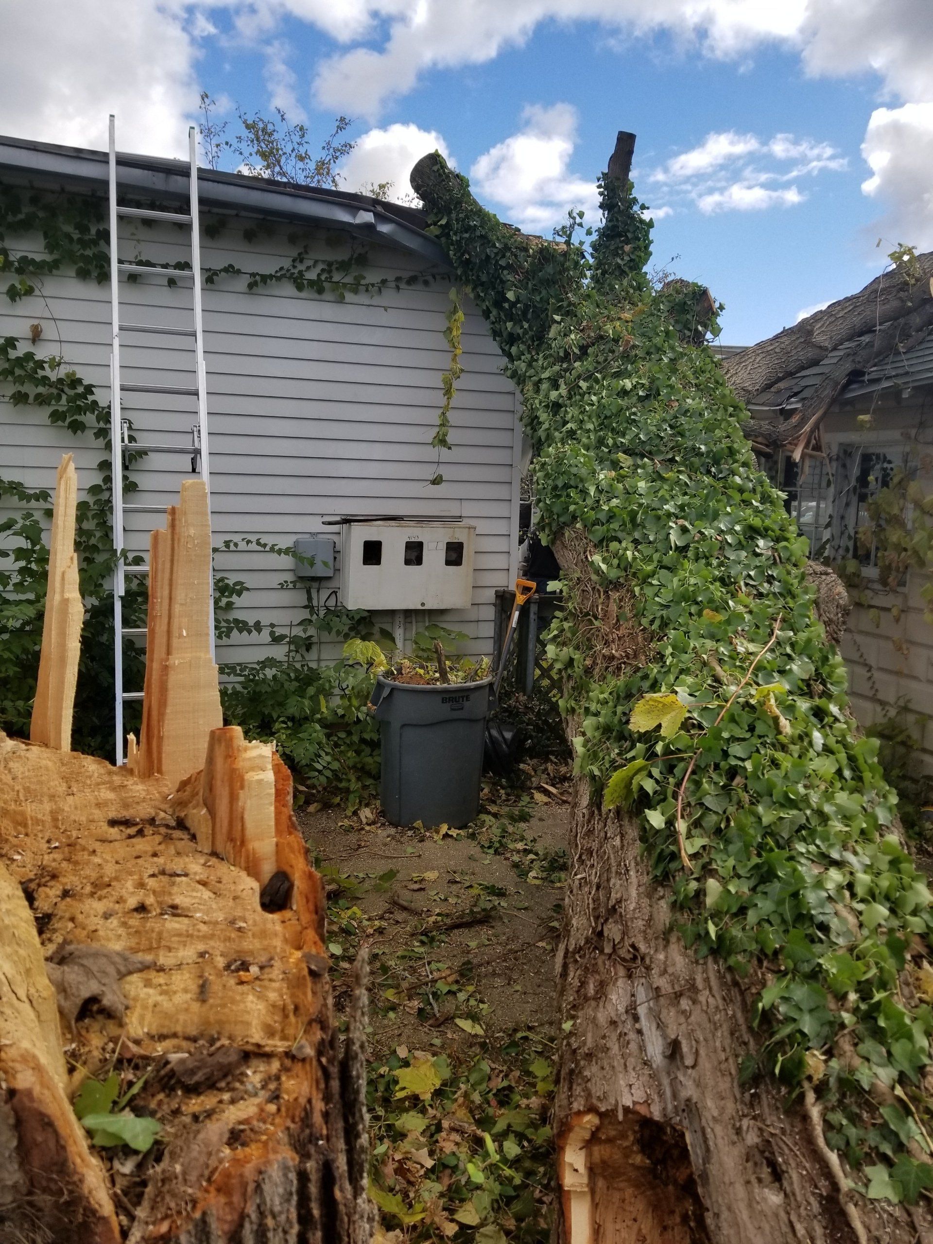 Storm Damage Law Firm — Niles, MI — American Tree Care