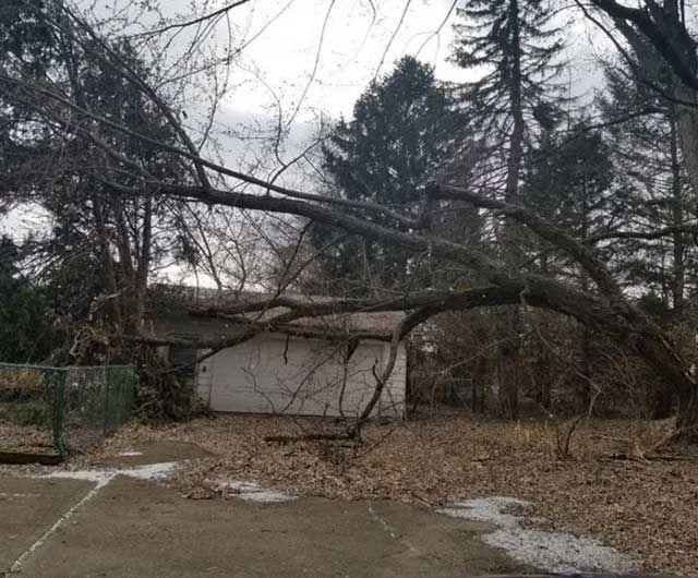 Tree Fall Down — Niles, MI — American Tree Care