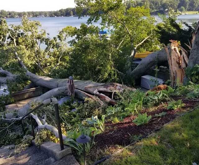 Storm Damage Before — Niles, MI — American Tree Care