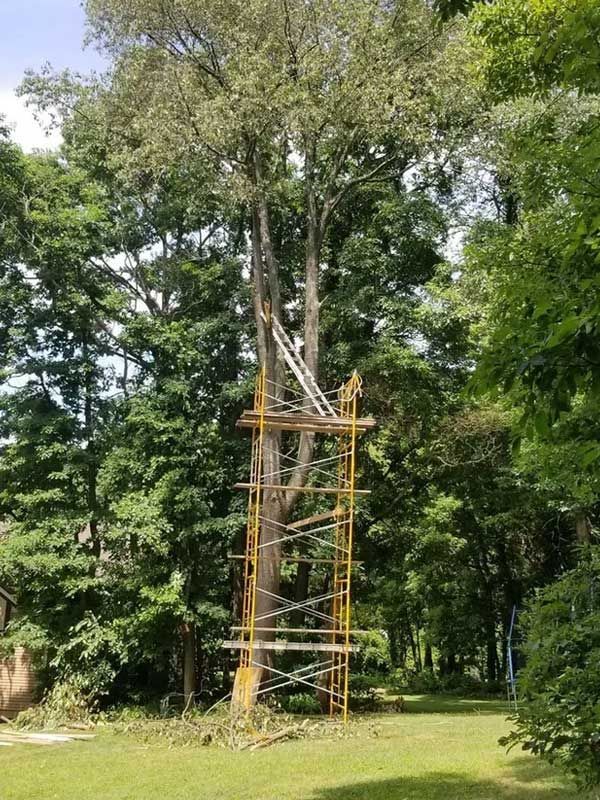 Cutting A Tree Down — Niles, MI — American Tree Care