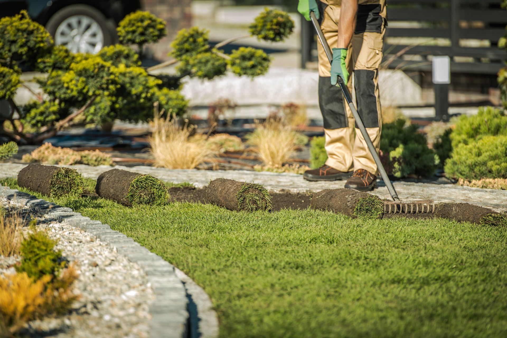 A gardener uses a rake to smooth new turf rolls laid on a landscaped lawn.
