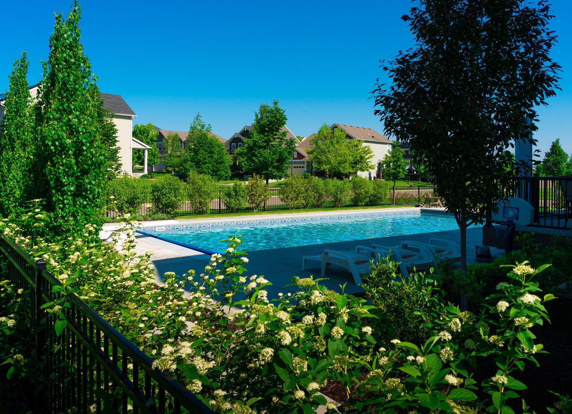 A large swimming pool surrounded by trees and bushes